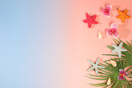 Tropical sunny colorful banner,Abstract background with palm leaves,seashells,orchid flowers and stars.Elegant beautiful podium and template for your creativity,summer party concept and product display stand.の写真素材