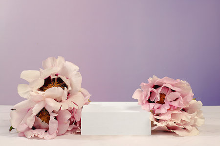 Empty podium with spring mountain peony flowers.Abstract floral arrangement with peonies, banner....