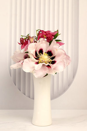 Still life with spring flowers mountain peony and columbine in vase on elegant modern table,template for your design with space for text,minimal beauty concept,beautiful flower card,abstract flower arrangementの写真素材