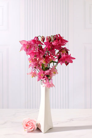 Still life with spring flowers columbine and aquilegia in vase on elegant modern table,Abstract flower arrangement. template for your design with place for text, minimalist beauty concept, beautiful flower card,の写真素材