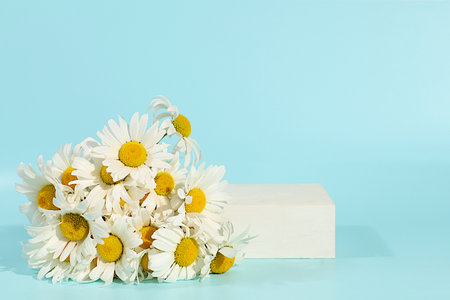 Empty podium with beautiful flowers of garden chamomile and mallow.Abstract flower arrangement,banner.Creative template for your design.Minimal modern aesthetics, elegant beauty concept,の写真素材