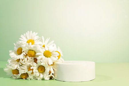 Empty podium with beautiful flowers of garden chamomile and mallow.Abstract flower arrangement,banner.Creative template for your design.Minimal modern aesthetics, elegant beauty concept,の写真素材