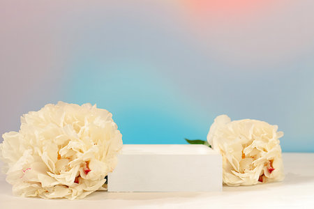 Abstract floral composition, banner.Empty podium with beautiful peony flowers. Creative template for your design. Minimal modern aesthetics, elegant beauty concept,の写真素材
