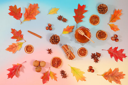 Autumn abstract composition with maple leaves, pine cones, nuts, cinnamon, star anise and rowan berries, still life and Thanksgiving concept, seasonal background and banner for screen, greeting cardの写真素材
