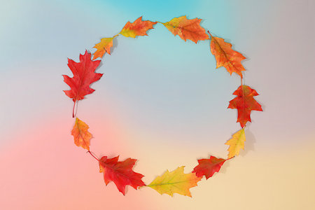 Hello Autumn. Bright autumn abstract composition with maple leaves on a seasonal background, still...