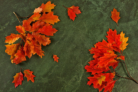 Hello, autumn A vibrant autumn abstract composition with maple leaves, a beautiful still life, and a...