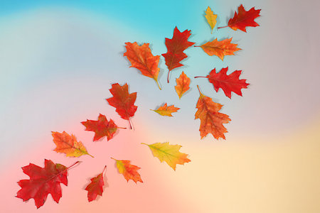 Hello Autumn. Bright autumn abstract composition with maple leaves on a seasonal background, still...