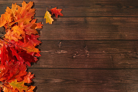 Hello, Autumn A vibrant autumn abstract composition with maple leaves, a beautiful still life,...