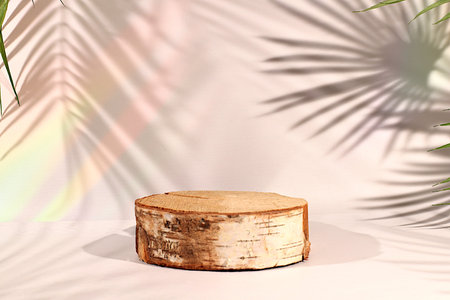 Empty birch podium for cosmetics displays atop an elegant, sunny, colorful banner against a backdrop of long palm leaf shadows. The perfect template for your creative work, summer party concept, or trade show booth.の写真素材