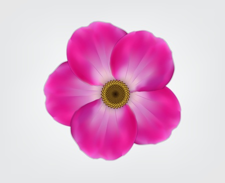 Pink flower. のイラスト素材