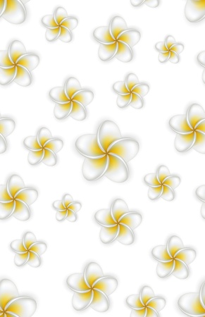 Seamless pattern of frangipani (Plumeria) flowers. Detailed background. のイラスト素材