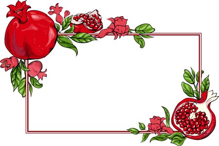 White rectangular background with red pomegranate ornament. Vector paper illustration.のイラスト素材