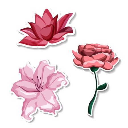 Pink beautiful rose, lily and lotus flower stickers isolated on white background. Vector paper illustration.
のイラスト素材