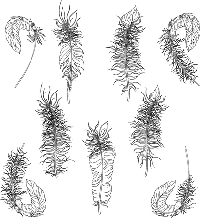 Black carnival feathers sketches isolated on white background. Vector illustration.のイラスト素材