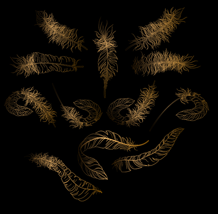 Gold carnival feathers sketches isolated on black background. Vector illustration.のイラスト素材