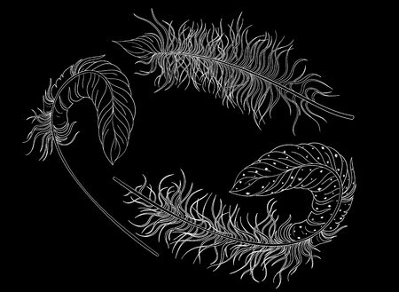 Black carnival background with white feathers. Vector illustration.のイラスト素材