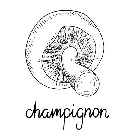 Black hand-drawn champignon mushroom sketch isolated on white background. Vector paper illustration.のイラスト素材