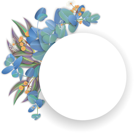 White round background with beautiful eucalyptus leaves and blossom. Herbal, nature, medical design template. Vector paper illustration.
のイラスト素材