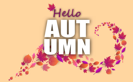 Hello autumn poster with beautiful pink leaves. Vector background.のイラスト素材