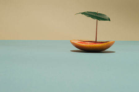 Summer tropical composition made with slice of grapefruit and one green leaf.の写真素材