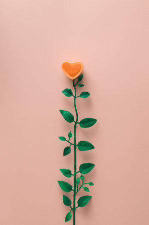 Yellow rose in shape of heart with leaves. minimalist concept.の写真素材