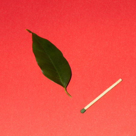 Composition with a match and a leaf representing fire. Creative concept.の写真素材
