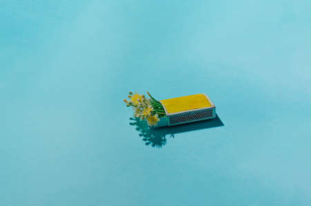 Tiny white and yellow flowers out of the box of the matches. Lying down matches on the sky blue backgroung.の写真素材