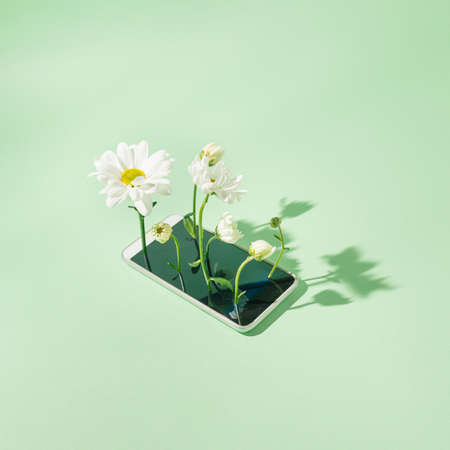 On a mint green background lies a telephone and flowers growing out of it. Technology boom.の写真素材