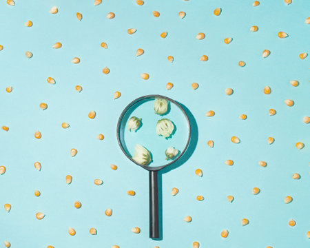A pattern with popcorn and a magnifying glass through which flowers can be seen.の写真素材