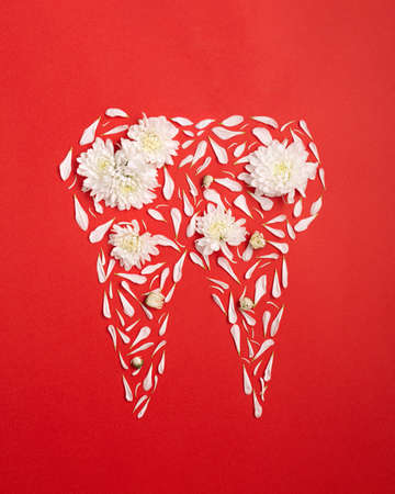 White petals and flowers form a tooth.の写真素材