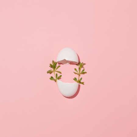 White broken egg with green grass. Modern easter concept very artistic. Minimalist idea.