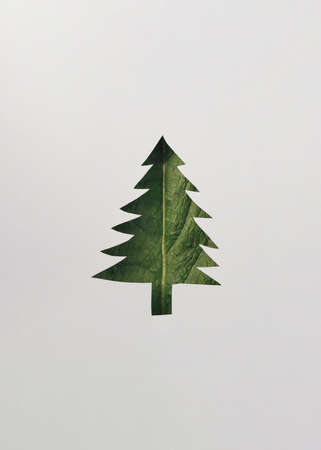 Environment Care Concept.  Layers of Paper Cut as Green leaf Texture Surface in shape of  tree. Earth Day and Ecology. Environment Care Concept.の写真素材