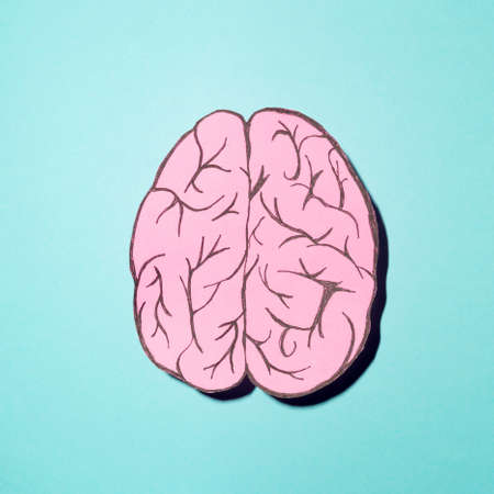 Pink brain on a blue background. Minimalist idea. Vivid colors.