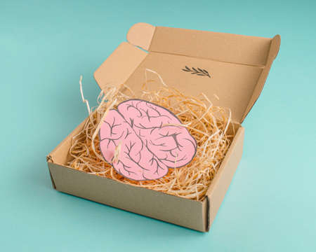 Paper brain in a box on green background. Sharing knowledge and experience.の写真素材