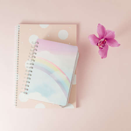 Rainbow colors notebooks lie on a pink background with an orchid. Notes, thoughts, plans.の写真素材