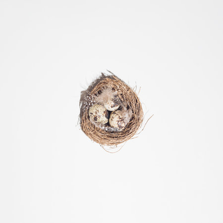 Easter eggs in a nest with chicken feathers on a white background. Easter holiday, colorful eggs, copy space, Top view.の写真素材