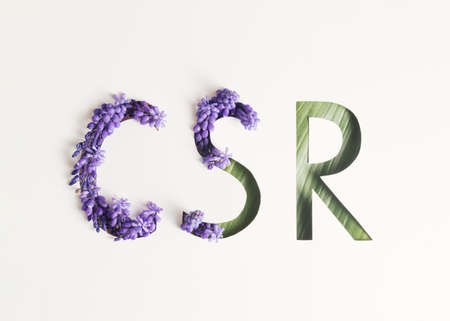 CSR corporate social responsibility, business concept. Silhouette of the letter CSR from which...