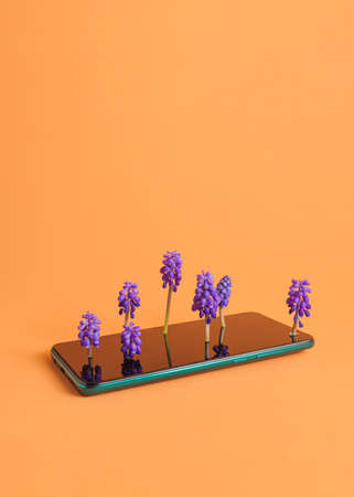 A phone with purple flowers growing from the screen. Orange background, front view. Minimalist idea. Free space on the top.の写真素材