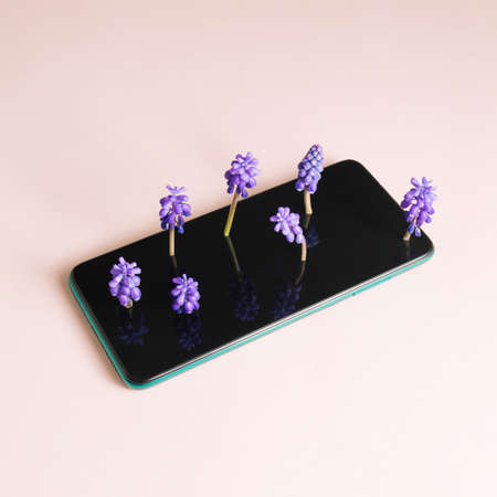 Phone with purple flowers growing from the screen. Soft pink background. Minimalist idea.の写真素材