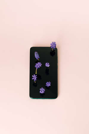 Top view composition of phone with purple flowers growing from the screen. Soft pink background....