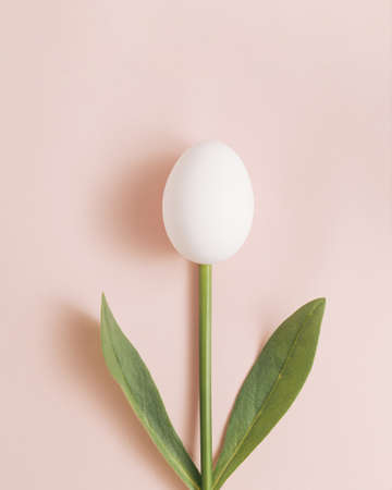 Easter flower made of green leaves and white egg on beige backgrounds.の写真素材