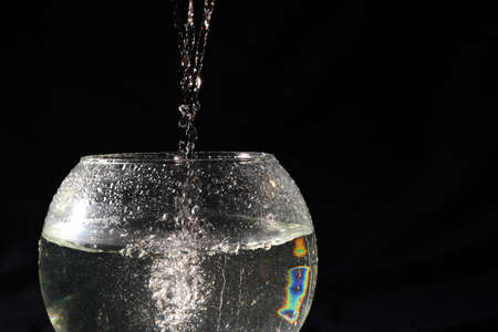A black background. Water is poured into a round and transparent vase.