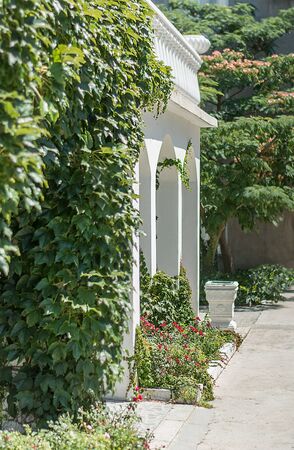 Entrance to the house with arches, ivy will see in the background linkoranskaya acaciaの写真素材