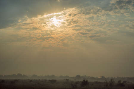 Foggy overcast morning in the village. Fine sunrise. Magic foggy village.の写真素材
