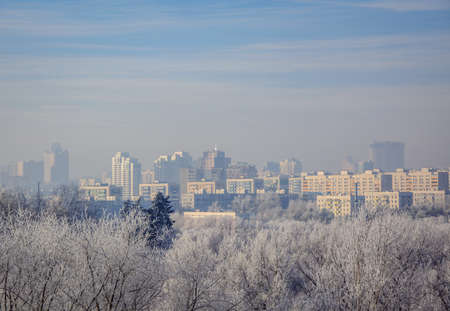 City distance and the trees close. Snowy frosty morning haze.の写真素材