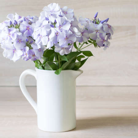Bouquet of blue phlox in a white vase  on wooden background.の写真素材
