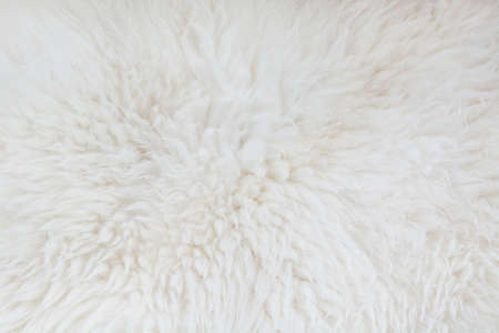 White fur close up background. Texture, abstract pattern.の写真素材