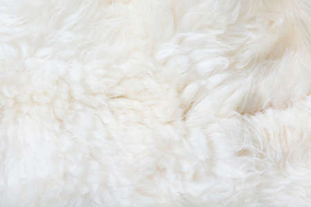 White fur close up background. Texture, abstract pattern.の写真素材