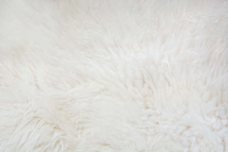 White fur close up background. Texture, abstract pattern.の写真素材