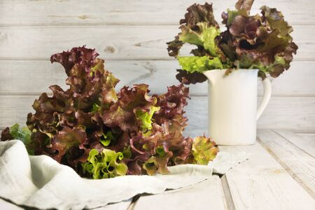 Fresh purple salad lettuce on rustic wooden background. Close up.の写真素材